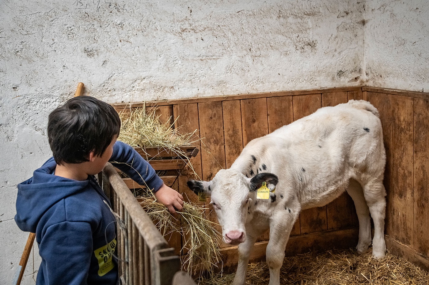 Vacanza in famiglia Alto Adige Animali