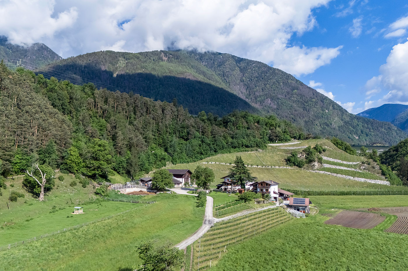 Punterhof Bauernhof Vahrn Brixen